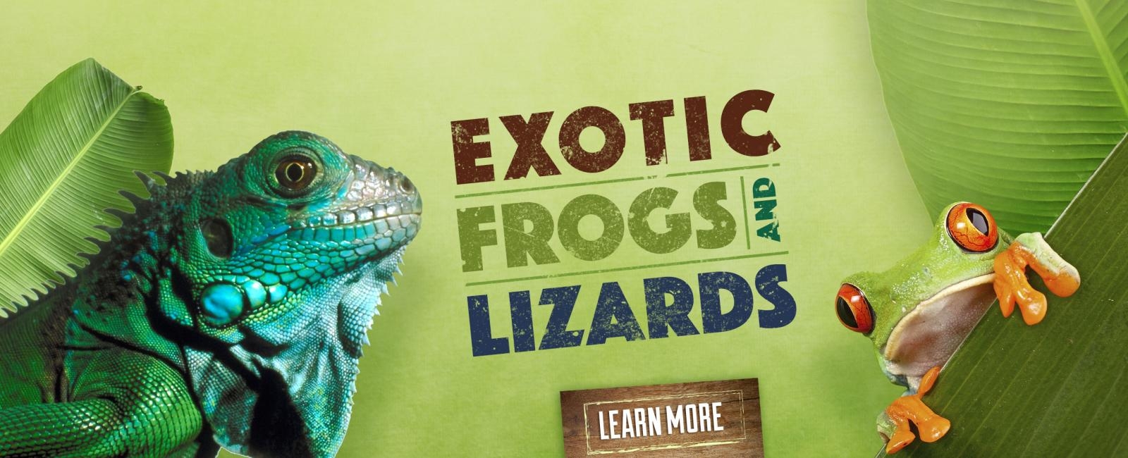 Alligator Adventure Reptile Capital of the World!